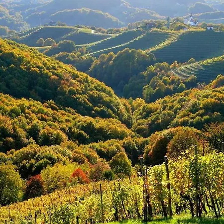 Cozy Family Place 'hisa Grozdek' - 40a *