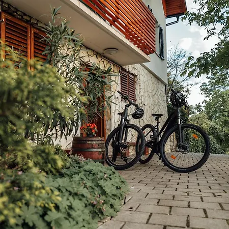 Cozy Family Place 'hisa Grozdek' - 40a * Gruskovec