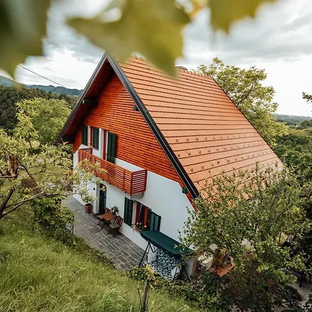 Cozy Family Place 'hisa Grozdek' - 40a