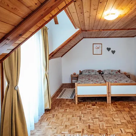 Cozy Family Place 'hisa Grozdek' - 40a Holiday home