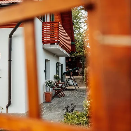 Dom wakacyjny Cozy Family Place 'hisa Grozdek' - 40a Gruskovec