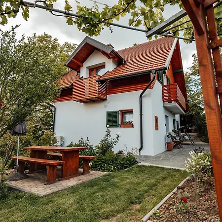 Cozy Family Place 'hisa Grozdek' - 40a Holiday home Gruskovec