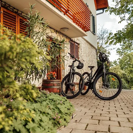 Cozy Family Place 'hisa Grozdek' - 40a *