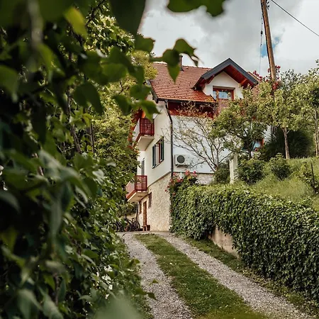 Cozy Family Place 'hisa Grozdek' - 40a בית נופש Gruskovec