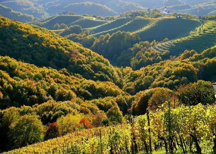 Cozy Family Place 'hisa Grozdek' - 40a *