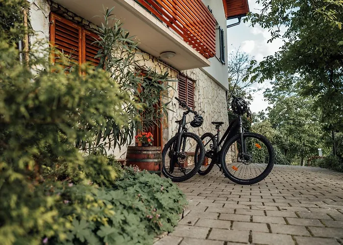 Cozy Family Place 'hisa Grozdek' - 40a * Gruskovec